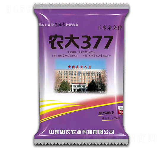 農(nóng)大377-玉米種子-袁氏農(nóng)業(yè)