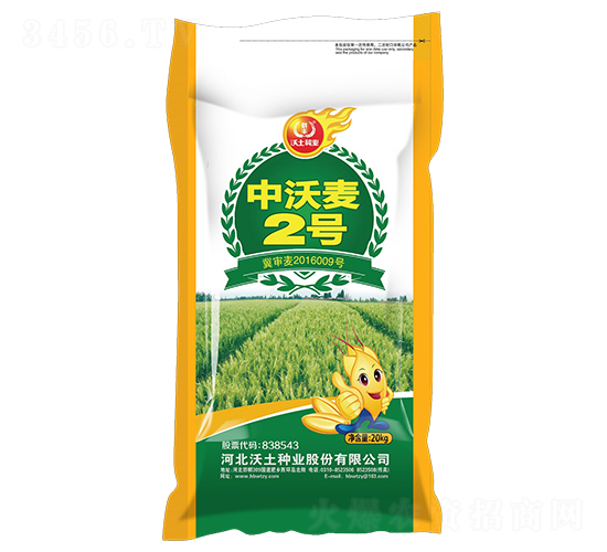 ������2̖-С���N��-�����N�I(y��)