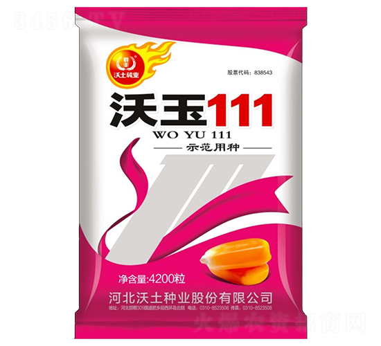 沃玉111-玉米種子-沃土種業(yè)