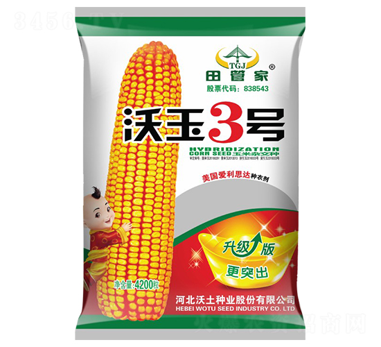 沃玉3號(hào)-玉米種子-沃土種業(yè)