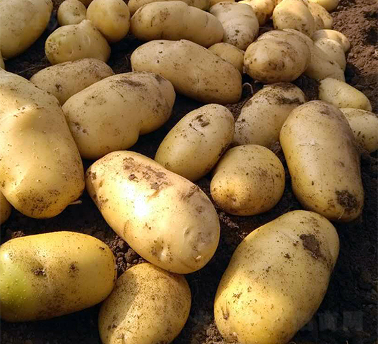 ϣɭ3̖-�����N��-ϣɭ