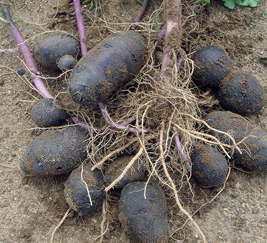 ϣɭ9̖(h��o)-�����N��-ϣɭ