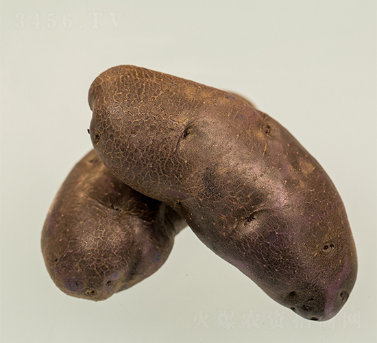 ϣɭ8̖-�����N��-ϣɭ