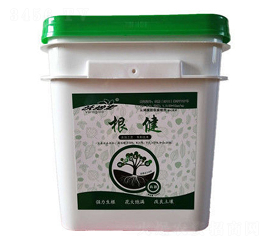 ����-�ֵ،�