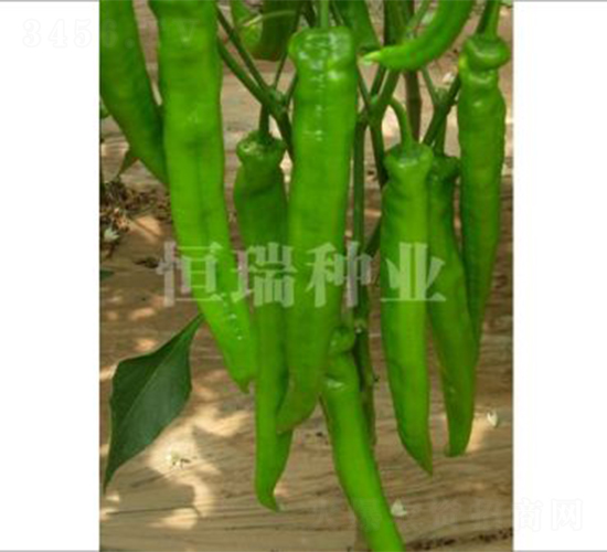 �³���-�����N��-����N�I(y��)