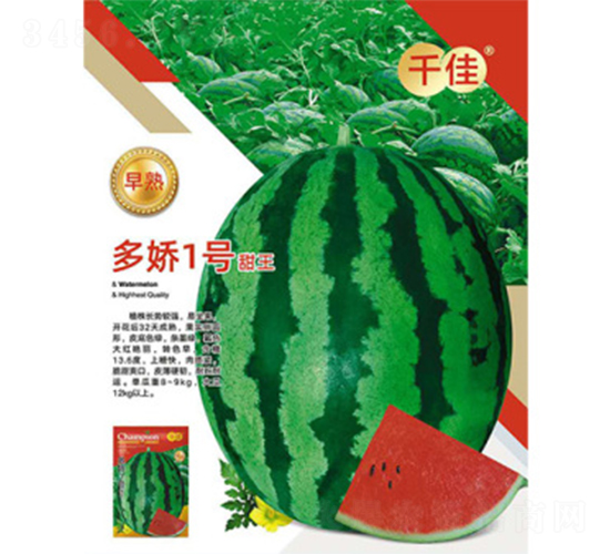 ����һ̖����-���ϷN��-����N�I(y��)