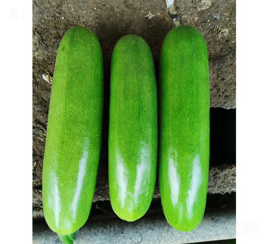 ���_����-�����J�N��-����N�I(y��)