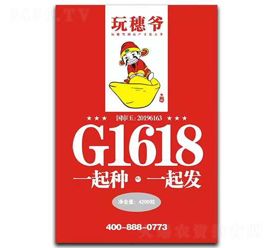 龍大G1618（玩穗爺）-玉米種子-龍大種業(yè)