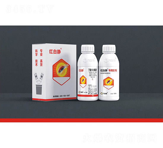 40%���ѡ��}���`�Ҹ���+�t���o��������-�t���o-������