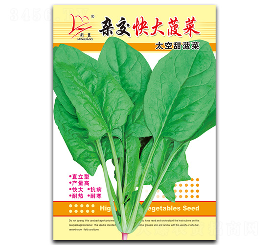 雜交快大菠菜-菠菜種子-閩皇種業(yè)
