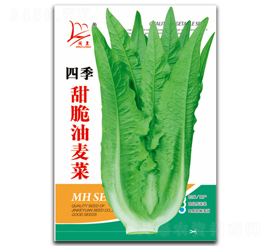 ���������-�����˷N��-�}�ʷN�I(y��)