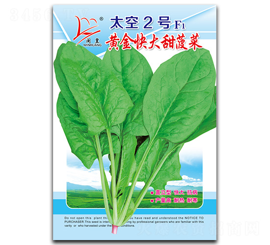 太空2號-菠菜種子-閩皇種業(yè)