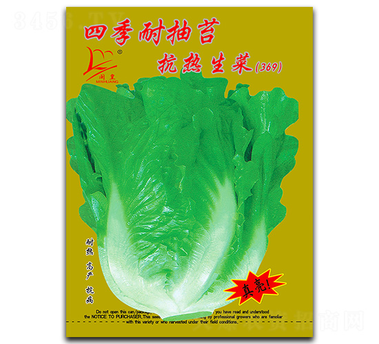 四季耐抽苔抗熱生菜-生菜種子-閩皇種業(yè)