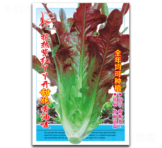 �����ϼtѾѾ�_������͇O-�����˷N��-�}�ʷN�I(y��)