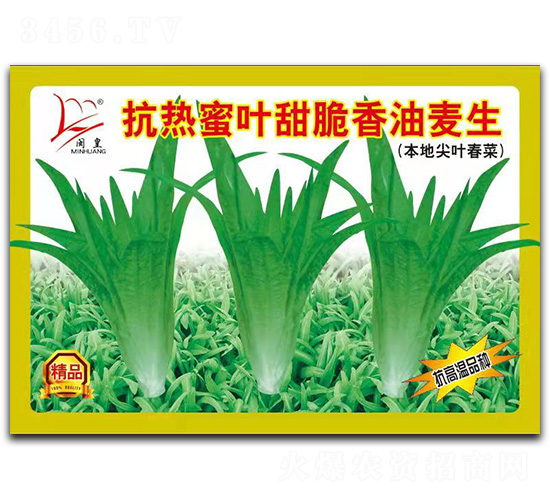 �������~���������-�����˷N��-�}�ʷN�I(y��)