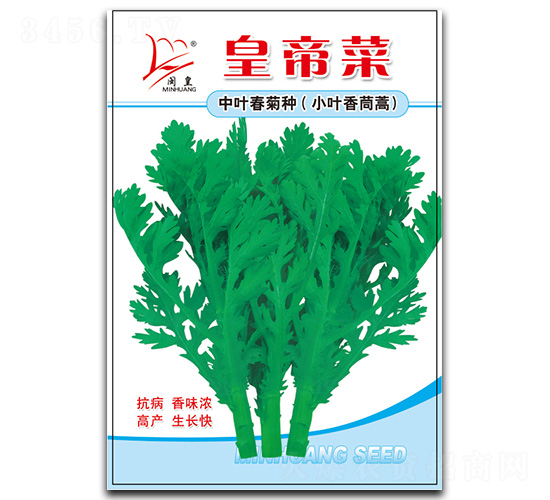 С�~������-����N��-�}�ʷN�I(y��)