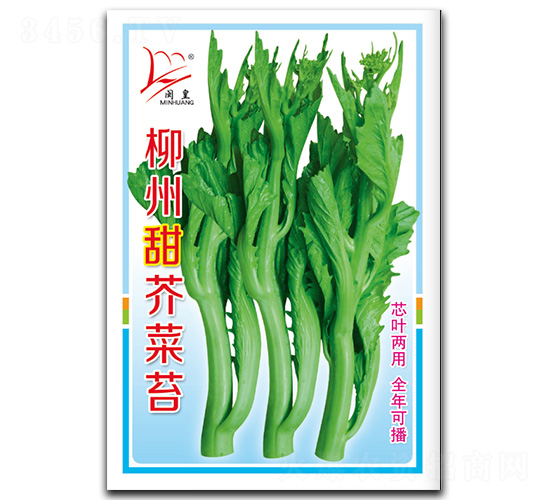 ��������̦-��̦�N��-�}�ʷN�I(y��)