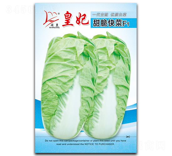 ���������-��˷N��-�}�ʷN�I(y��)