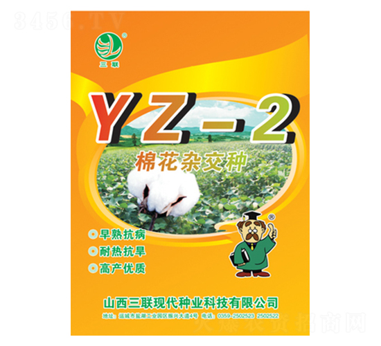 棉花雜交種YZ-2-三聯(lián)