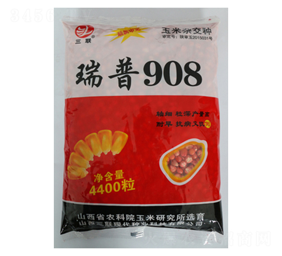 瑞普908-玉米種子-三聯(lián)