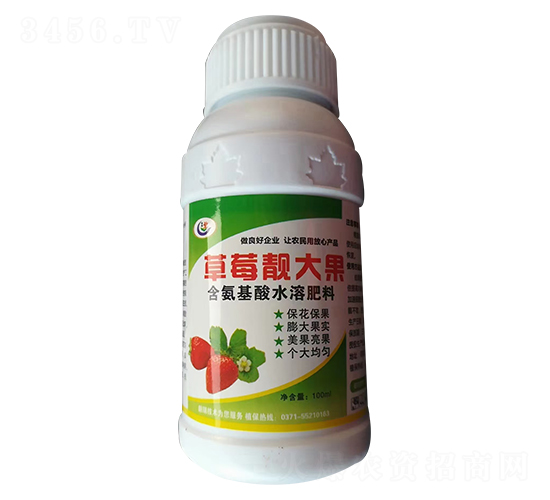 草莓靚大果-錦峰生物