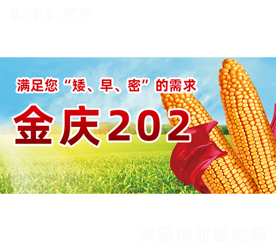 ��c202-���׷N��-�����N�I(y��)