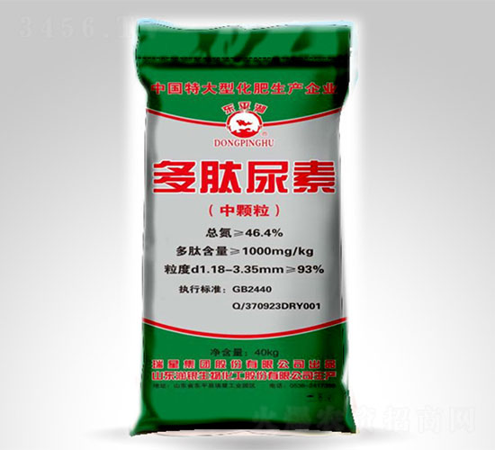 ���w����������-�|ƽ��-����