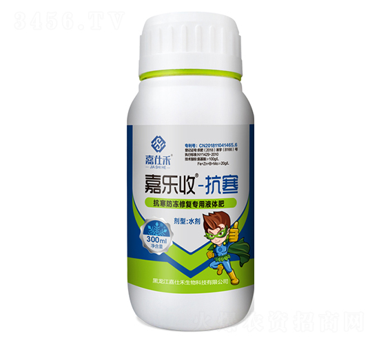 ���������ޏ͌���Һ�w��-�Θ���-���˺�