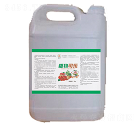 ֲ��ɘ�-��̩��