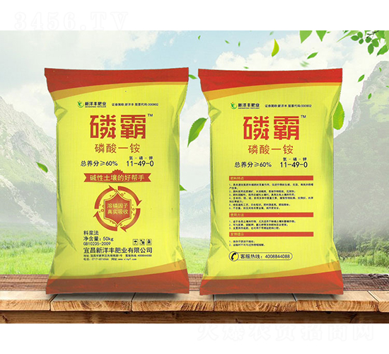 ����һ�@11-49-0-�װ�-����r(n��ng)�Y