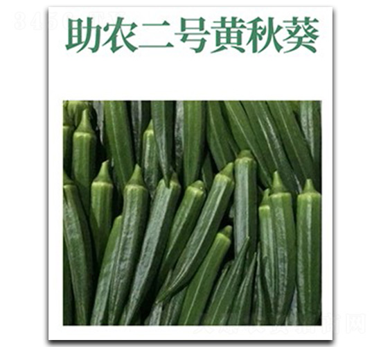 ���r(n��ng)��̖-�S����N��-���d