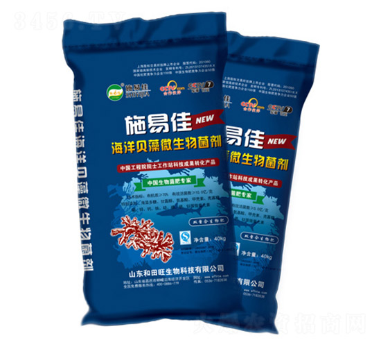 ����ؐ��΢�������-����������