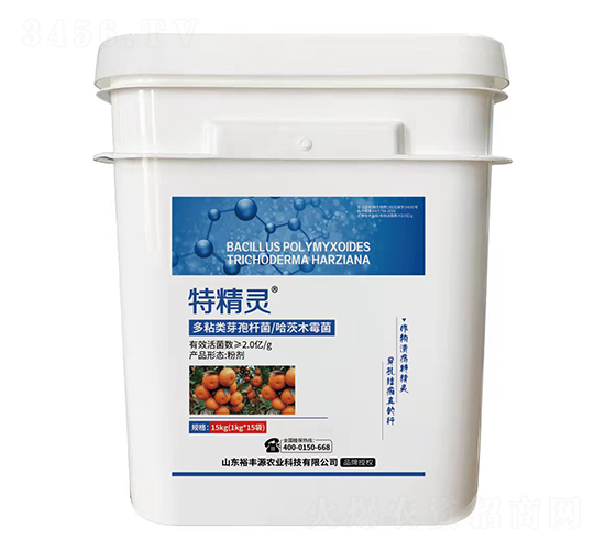 ��ճ�ѿ�ߗU��������ľù��-�ؾ��`-ԣ�SԴ