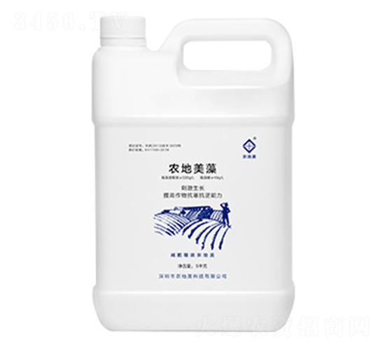 農(nóng)地美藻-農(nóng)地美