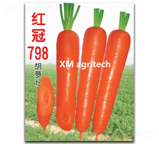 �t��798-���}���N��-���r(n��ng)�r(n��ng)�I(y��)