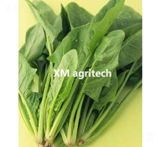 �G��-���˷N��-���r(n��ng)�r(n��ng)�I(y��)