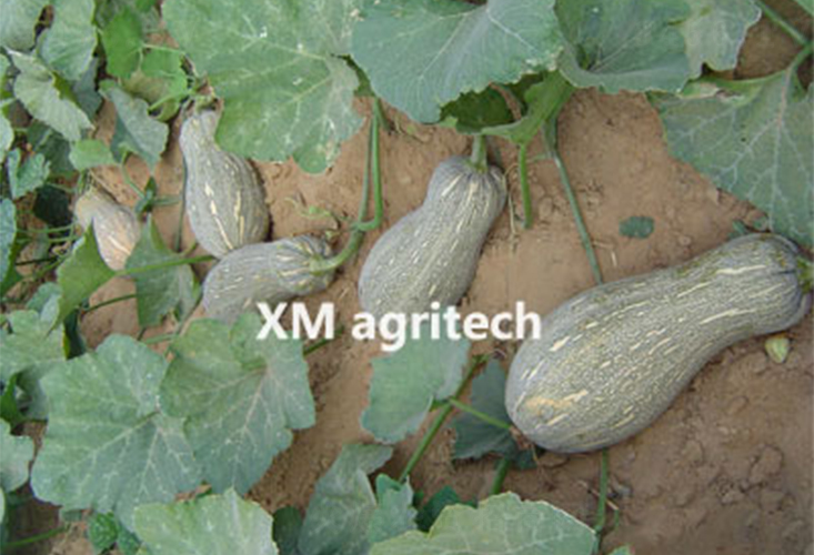 �۱�-�ϹϷN��-���r(n��ng)�r(n��ng)�I(y��)