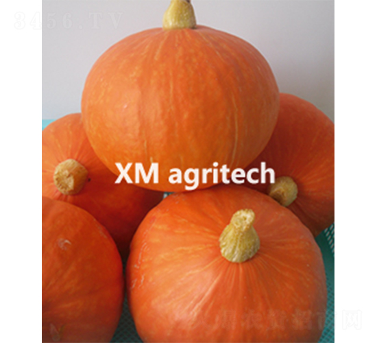 ��|��-�ϹϷN��-���r(n��ng)�r(n��ng)�I(y��)