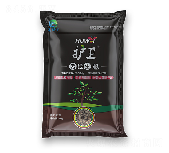 �o�l(w��i)���o������-���G��