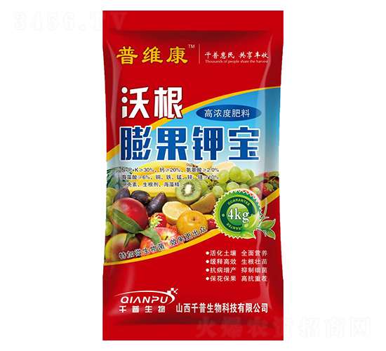 �ߝ�ȷ���-�Ҹ����⛌�-�վS��-ǧ������