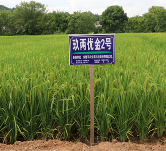 ���Ƀ�(y��u)��2̖(h��o)-ˮ���N��-¡ƽ�N�I(y��)