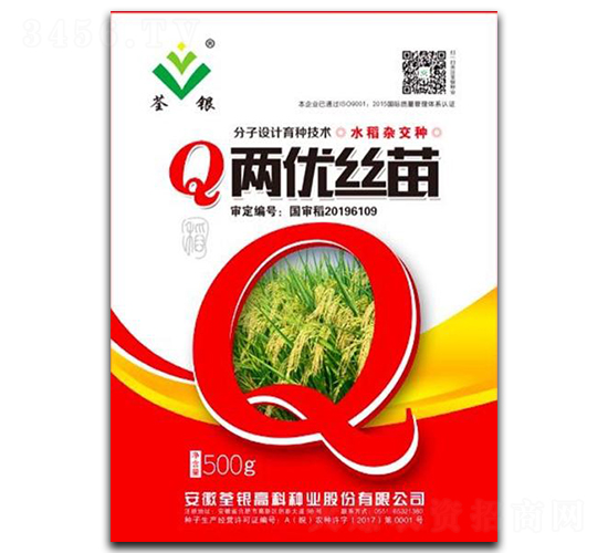 Q兩優(yōu)絲苗-水稻種子-荃銀高科
