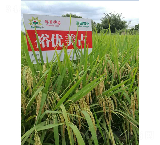 ԣ��(y��u)��ռ-ˮ���N��-�r���N��