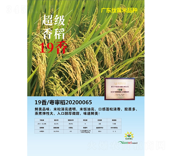 19��-ˮ���N��-�r���N��