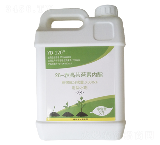 28�����|̦�؃�(n��i)��-�����m�r(n��ng)�I(y��)