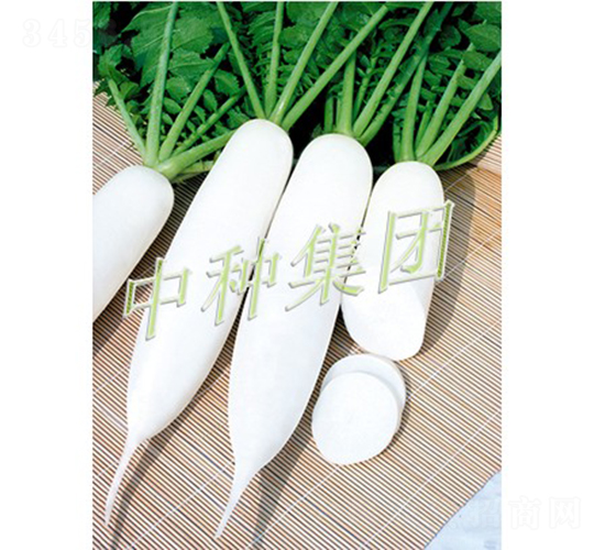 �L(zh��ng)��1̖(h��o)-�}���N��-�зN���F(tu��n)