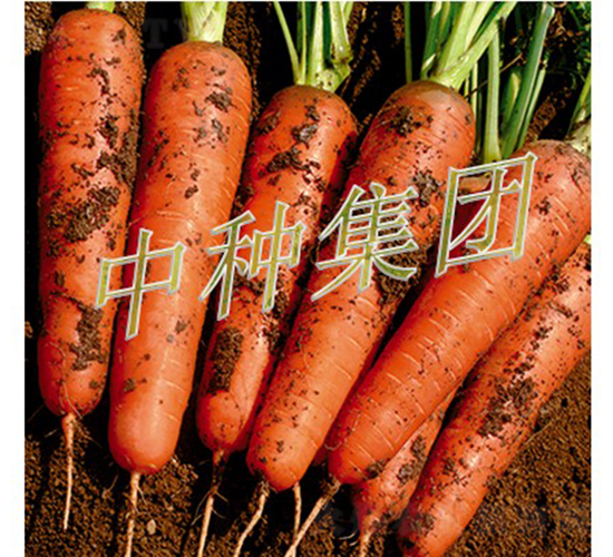 �зN989-���}���N��-�зN���F