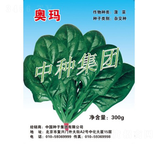 奧瑪-菠菜種子-中種集團(tuán)
