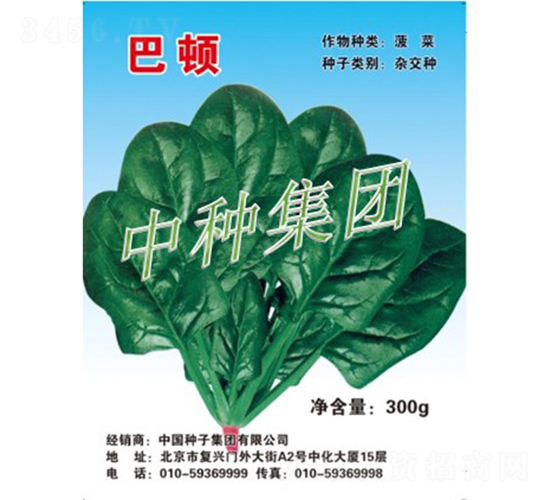 巴頓-菠菜種子-中種集團(tuán)