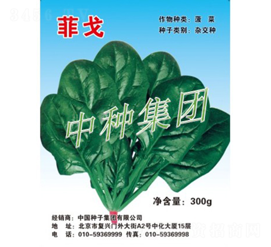 菲戈-菠菜種子-中種集團